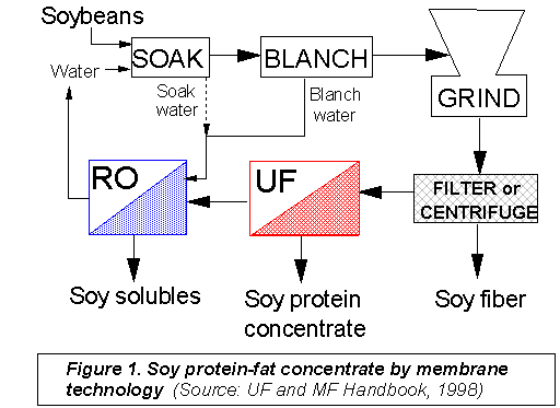 Soy Protein Vs Soy Protein Isolate: What's The Difference And How Are They  Used?