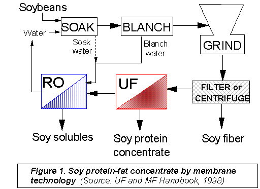 Soy Protein Vs Soy Protein Isolate: What's The Difference And How