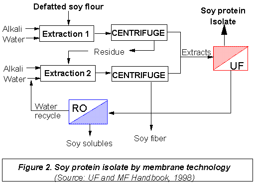 Soy Protein Vs Soy Protein Isolate: What's The Difference And How