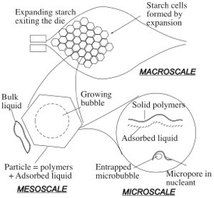 starchexpansionmultiscales med